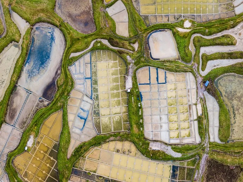 Salines, Guérande Salines, Guérande