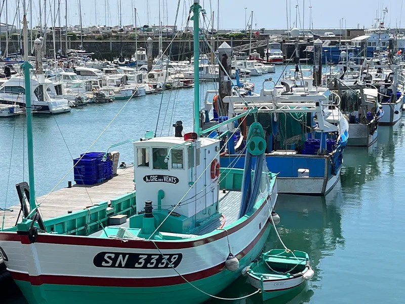 La Turballe, Pays de la Loire