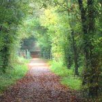 Les grands espaces à visiter dans le Loir