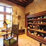 Wooden cabinet full of curiosities, skulls and shells