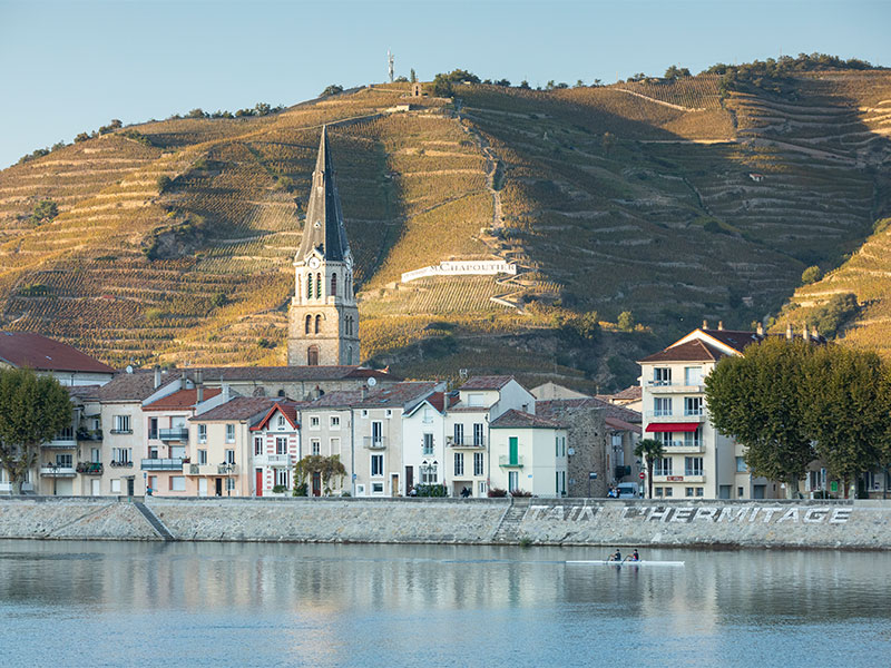 Vue sur les vignobles escarpés de Tain l'Hermitage