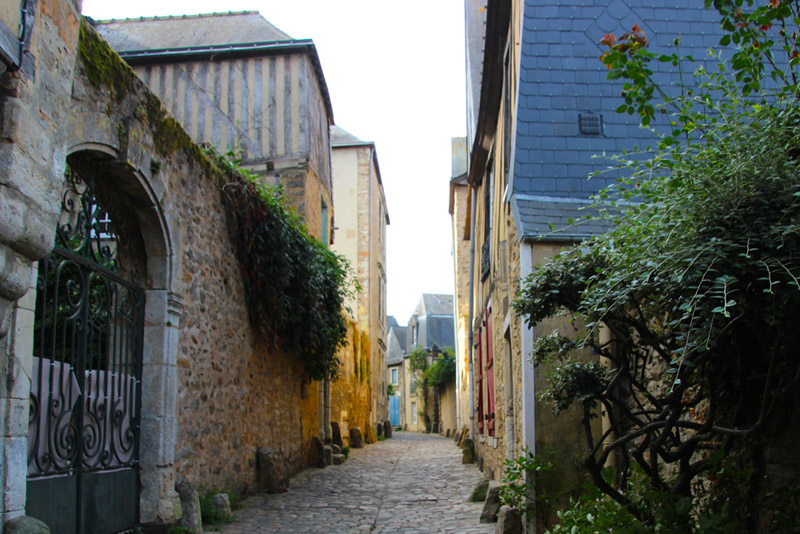 La vieille ville du Mans surprend par sa beauté Rue pavée avec des roses et des fleurs poussant sur des murs anciens au Mans, France