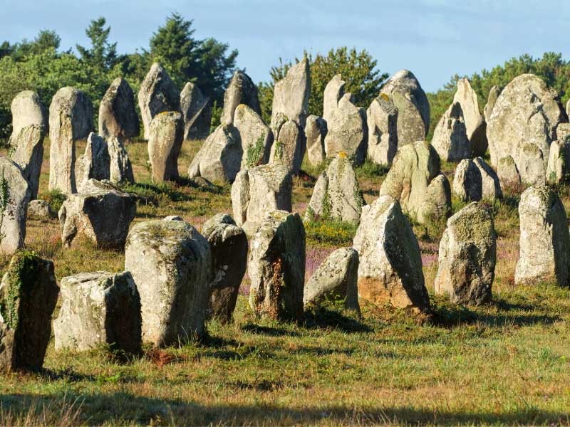 Gros plan des menhirs de Carnac, des rochers usés par les intempéries, de l'herbe poussant à leurs bases