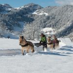 Winter Wonderland Montagnes d'Annecy, France
