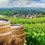 Les meilleures visites de Champagne en Champagne