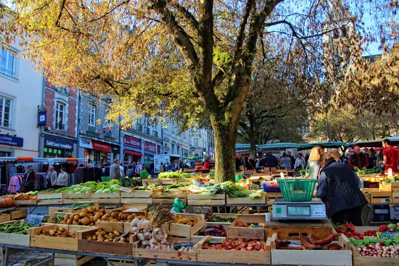 One of the best markets in France, Laval, Mayenne