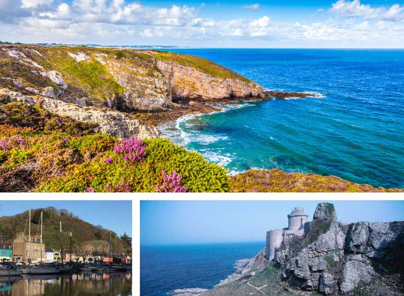 Cap Fréhel Bretagne - falaises couvertes de fleurs sauvages se jetant dans l'océan