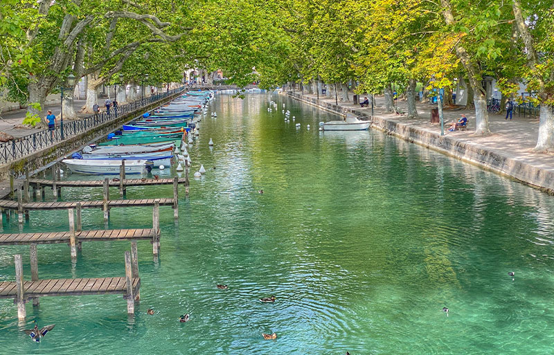 Les célèbres eaux claires d'Annecy font scintiller la ville Eaux claires d'un canal à Annecy, canards flottant sous les arbres ombragés