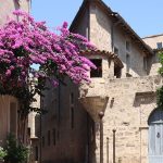 Visite libre du pittoresque Pézenas