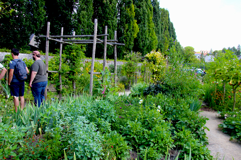 The Secret Garden of Azay le Rideau