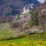 Château de Menthon-Saint-Bernard, Annecy