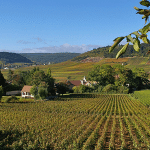 Pourquoi la Bourgogne devrait être en tête de votre liste de recherche de maison en France