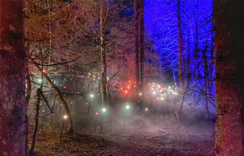 Forêt remplie de fleurs colorées de lumière à Alta Lumina, Les Gets