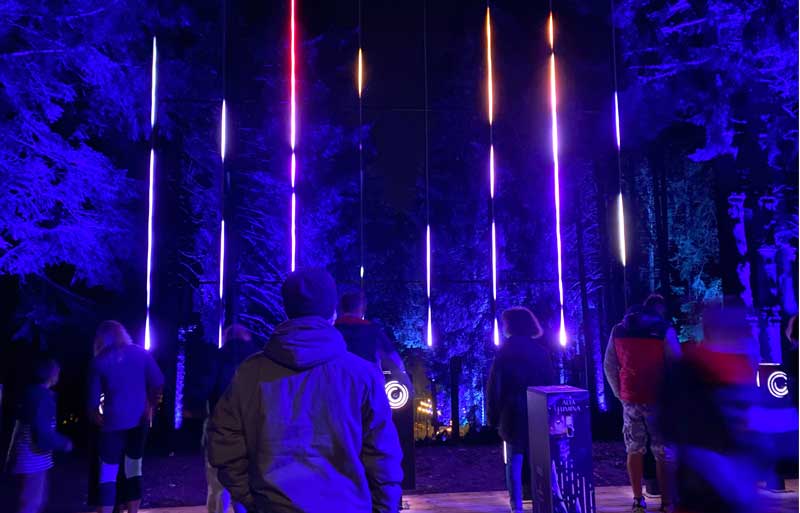 Forêt dégoulinante de lumières aux Gets, Alpes françaises