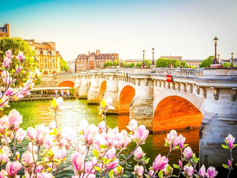Pont Neuf, Paris, au printemps Les arbres fleurissent le long des rives de la Seine à Paris au printemps