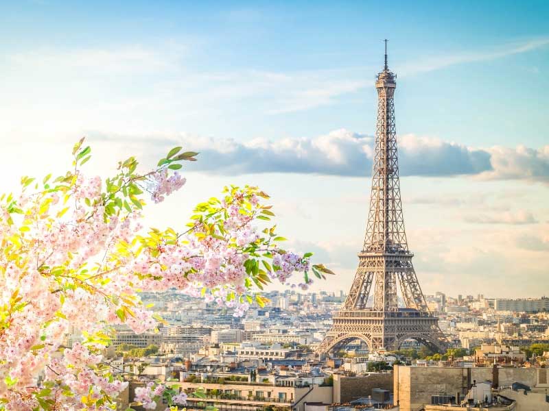 Paris au printemps, temps d'espoir et de renouveau Fleur de cerisier en fleur à Paris, Tour Eiffel en arrière-plan