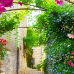 Conseils pour voyager en Provence
