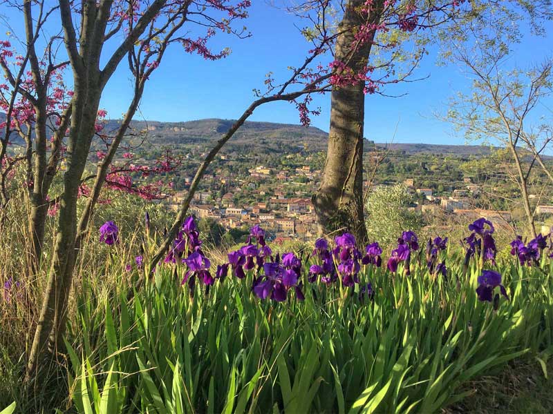 Vue sur Apt Provence entourée de vignes, vergers et prairies