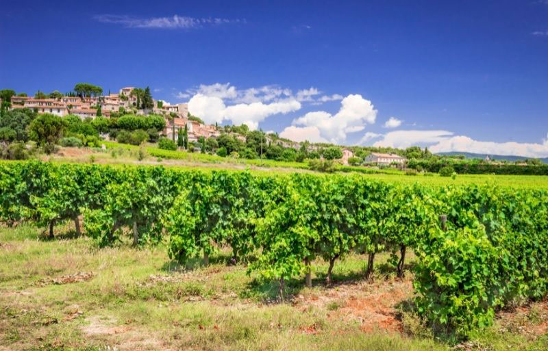 Village de Joucas, Provence, entouré de vignes