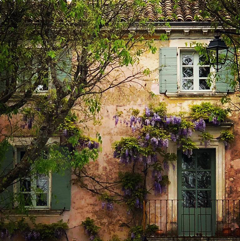 Glycine poussant au-dessus de la porte d'une jolie maison à Goult, Provence
