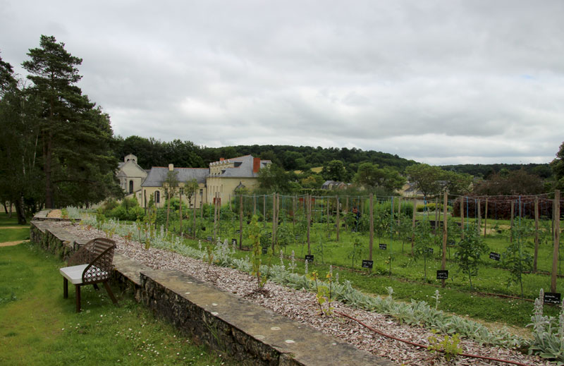 The gorgeous gardens of the Abbey of Fontevraud