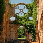 Stone ruins of an abbey, ivy growing through empty rose window frame