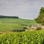 Comment réserver l'expérience de dégustation de champagne parfaite en Champagne