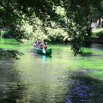 Canoeing on a gentle river under a canopy of green leaves in Provence