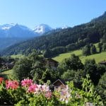 View of the French Alps with meadows of flowers and snow-tipped mountains