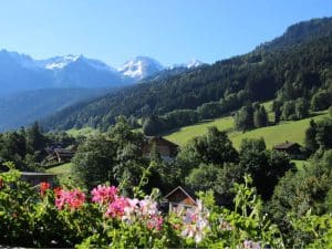View of the French Alps with meadows of flowers and snow-tipped mountains