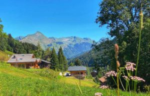 Blue sky, rich green countryside with alpine flowers in the summer in Les Gets