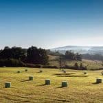 Randonnée dans les Ardennes françaises