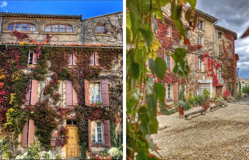 Bâtiments en Provence recouverts de lierre automnal