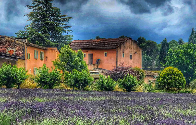 Tempête sur les champs de lavande à Goult, en Provence