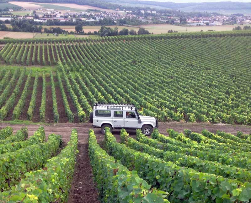 Vignobles de Château-Thierry, Picardie