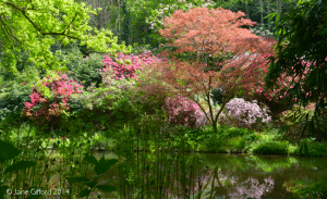 kerdalo-garden-brittany