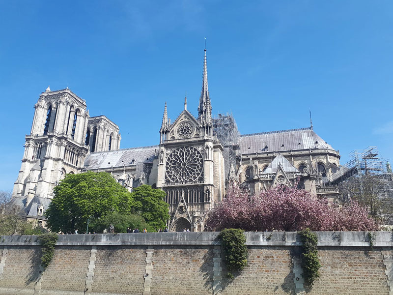 Notre Dame au printemps, photo prise quelques heures avant le début de l'incendie du 15 avril 2019 La cathédrale Notre-Dame de Paris, avec des arbres en fleurs autour, prise avant l'incendie du 15 avril 2019