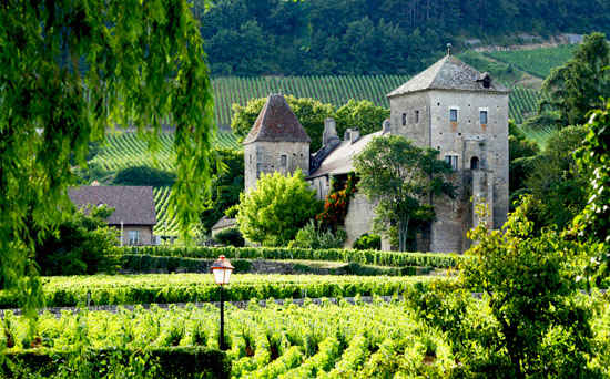 vignobles de bourgogne