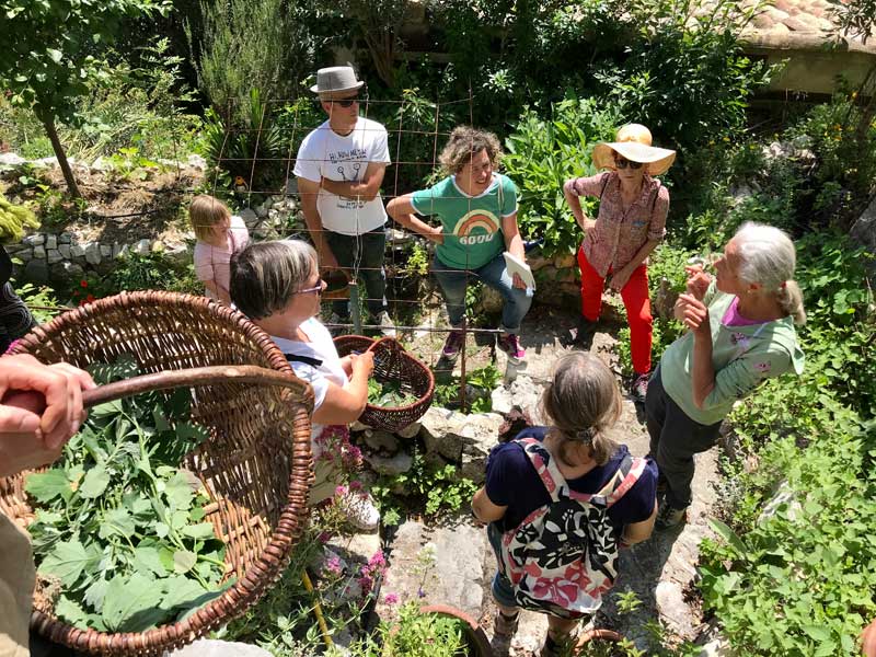 Des gens à la recherche de nourriture à Brantes en Provence avec des paniers remplis d'herbes sauvages et de baies