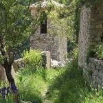 Découvrez Brantes Provence | Une terre oubliée par le temps