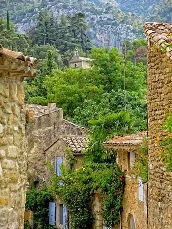 Rue remplie de végétation à Oppède-le-Vieux