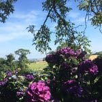 Les Jardins du Mont des Récollets à Cassel, Hauts de France