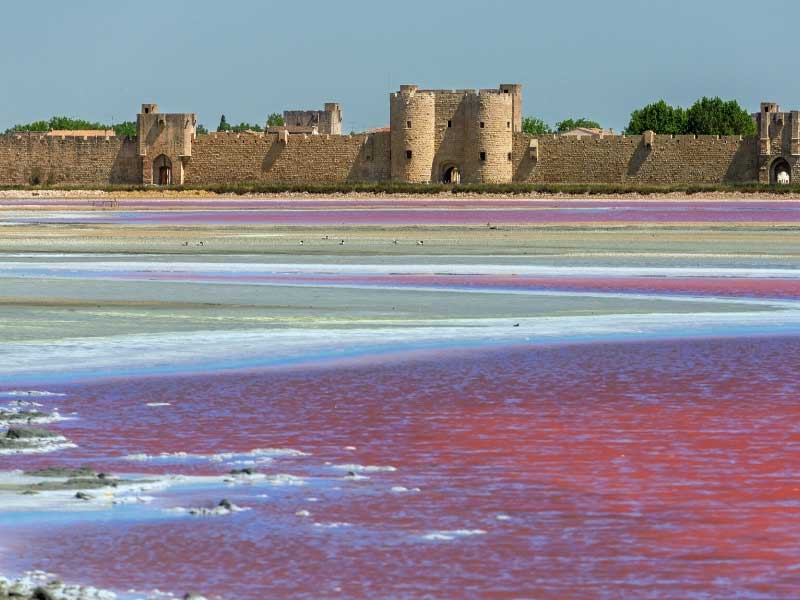 Lacs roses à Aigues-Mortes, causés par des dépôts de sel, en arrière-plan, un ancien fort en pierre