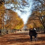 10 raisons de visiter Paris en automne