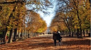 10 raisons de visiter Paris en automne