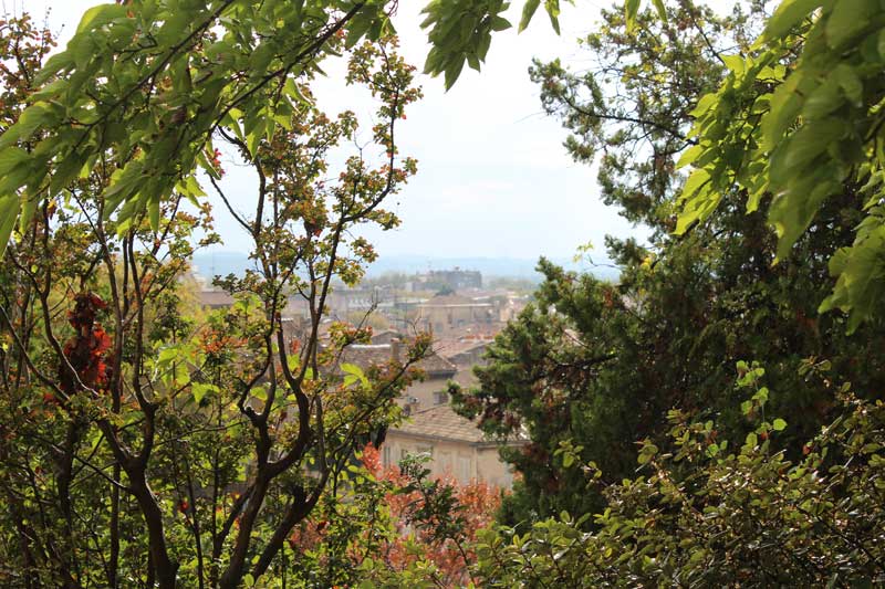 vue d'Avignon depuis le parc des Rochers des Doms Vue sur Avignon à travers la végétation luxuriante du parc des Rochers des Doms