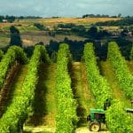 Superbe circuit vins et Armagnac en Gascogne, Gers, Midi-Pyrénées
