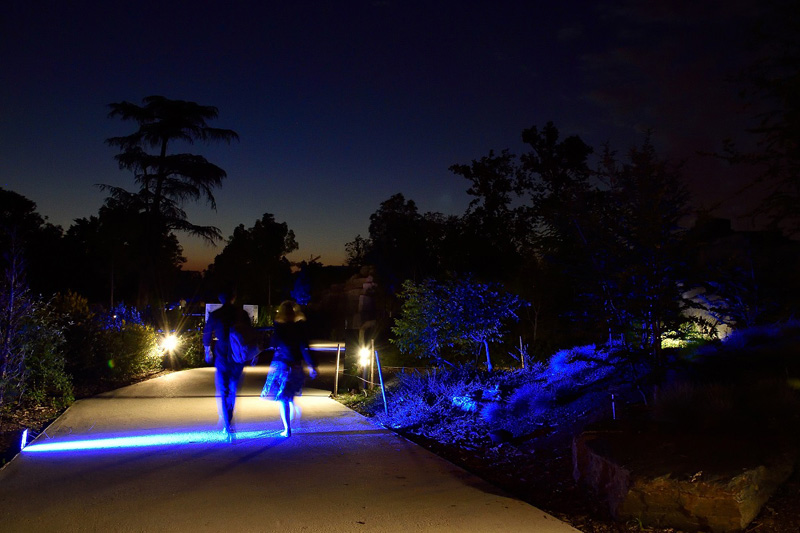 Night at the Zoo, Paris where you can make like a night owl photo: Paris Zoo
