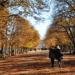 3 villes idéales pour une visite en automne en France