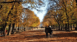 3 villes idéales pour une visite en automne en France